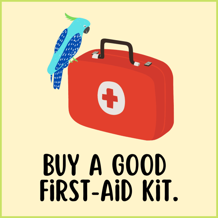 Though you should never treat your bird at home, a bird first-aid kit has a few tools that can help stabilize your parrot before you head to the vet.