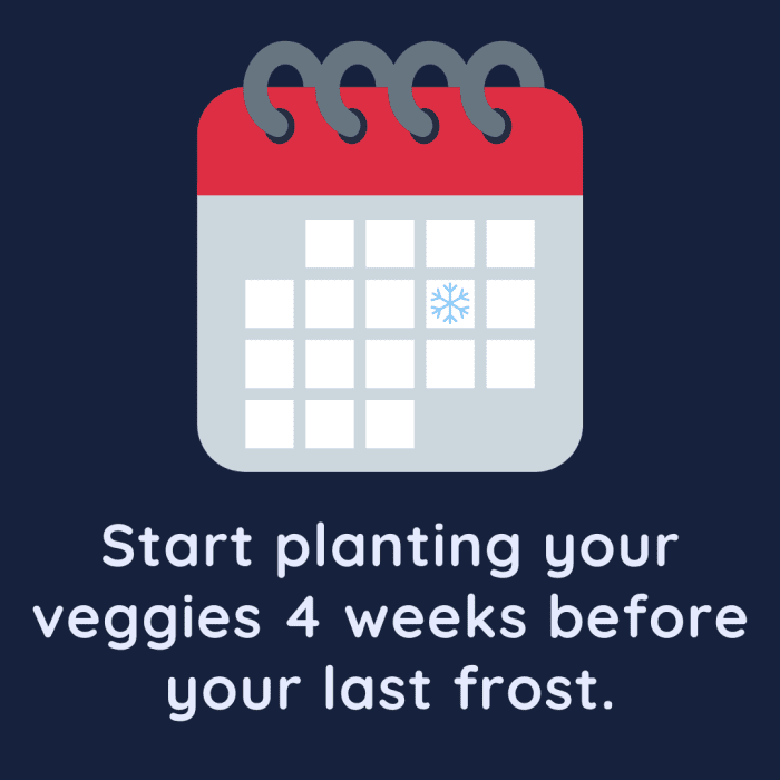 10 Best Vegetables to Plant in Early Spring Dengarden