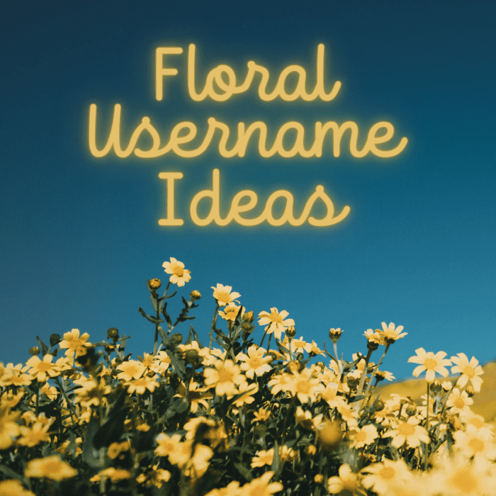 200+ Cute and Aesthetic Usernames for Instagram TurboFuture