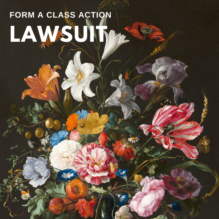 Organize a class action lawsuit.