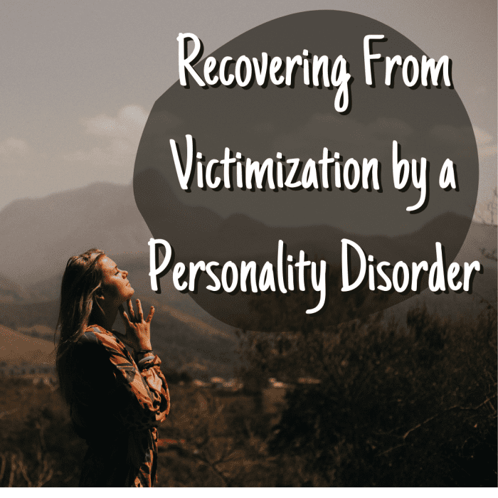 Learn a framework that can help you recover from being victimized by a personality disorder. Read on to take the first steps toward your healing.