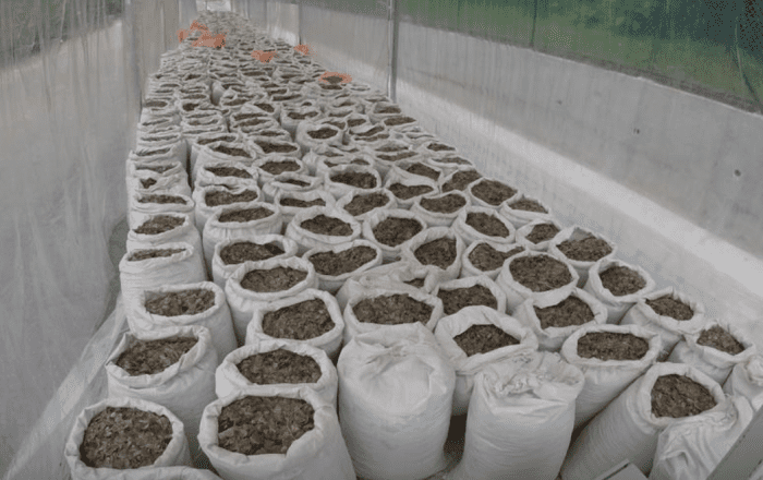 January 27 2021 Nigeria seizes pangolin scales bound for Vietnam “The items, falsely declared as furniture, comprised 162 sacks of pangolin scales"