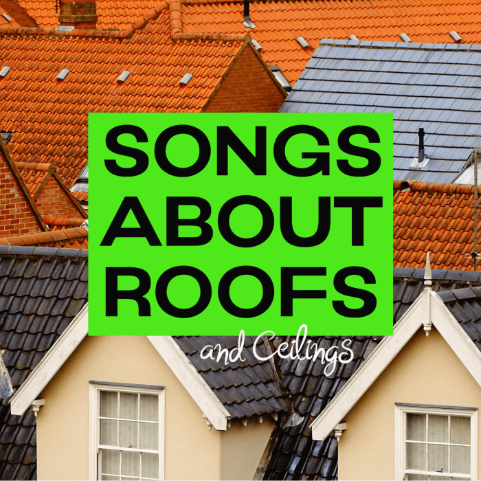 Celebrate the importance of roofs and ceilings by making a custom playlist of pop, rock, country, and R&B songs. Raise the roof, don't hit the ceiling, put a roof over your head, and break the glass ceiling. You've got this.