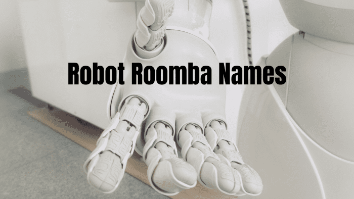 222-clever-and-funny-roomba-names-for-your-robot-vacuum-dengarden