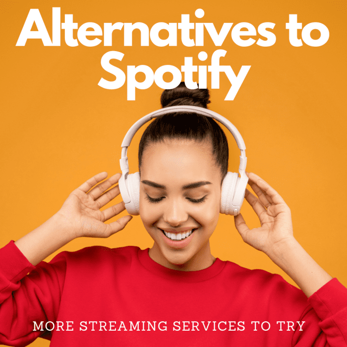 Is there something better than Spotify? What is a good alternative to Spotify? Learn about 9 options in this article.