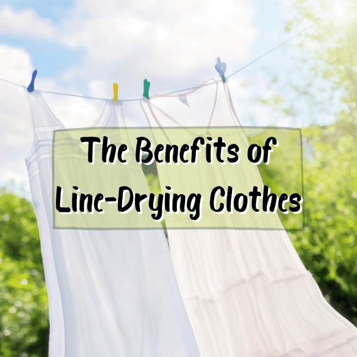 Why Line-Dry Your Clothes? - Dengarden