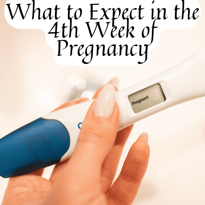 What to Expect in the 4th Week of Pregnancy - WeHaveKids