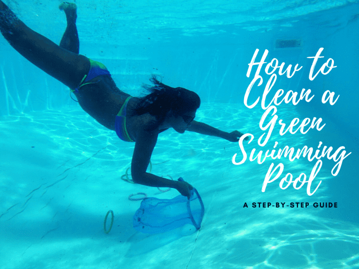 Prevention tip: We take a net in the pool every time we swim just to take out any material that has fallen in.
