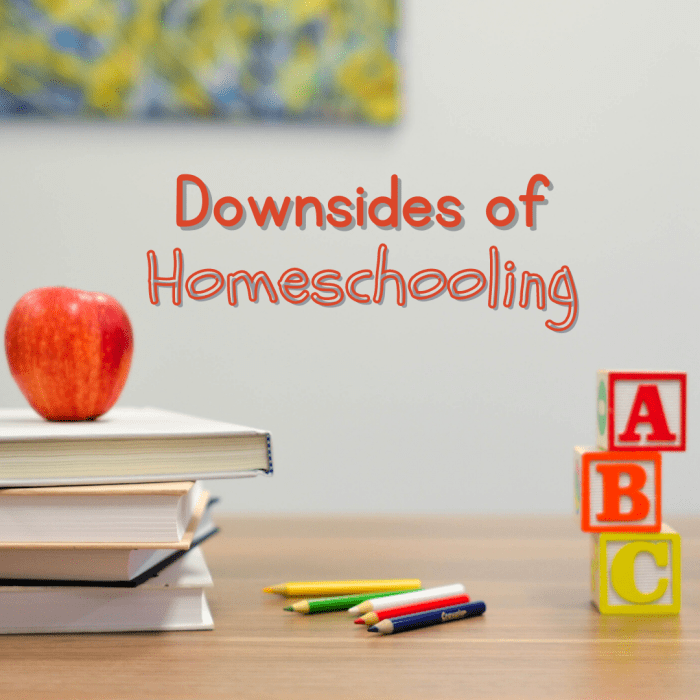 The Cons Of Homeschooling, According To A Homeschool Mom - WeHaveKids