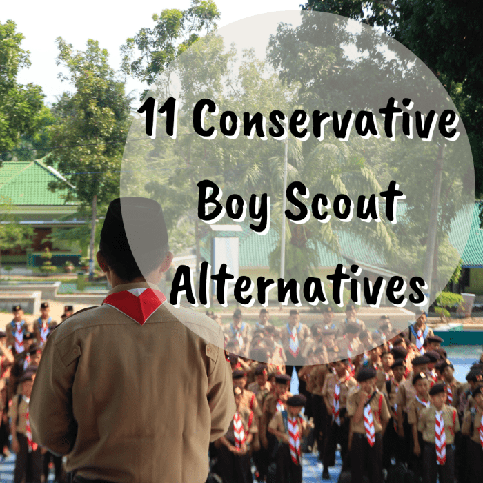 11 Conservative Boy Scout Alternatives WeHaveKids