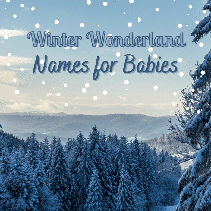 100+ Charming Names for Winter Babies WeHaveKids
