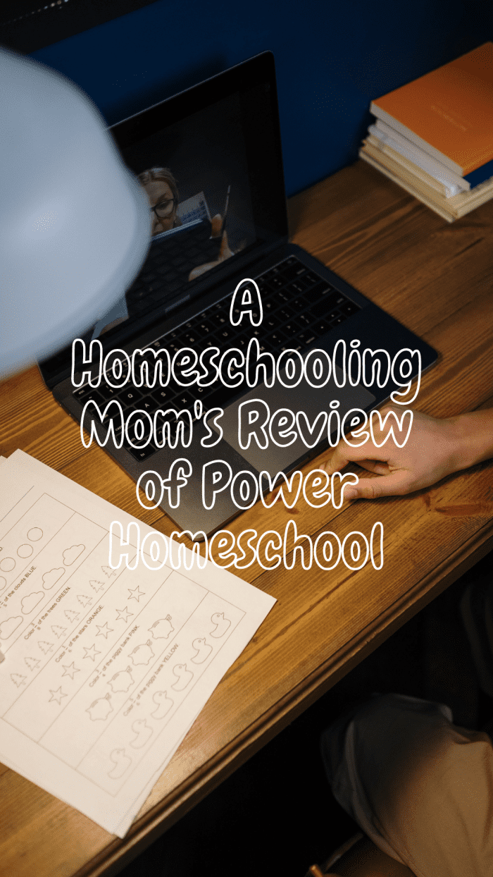 Insightful Review From A Mother Who Homeschools: The Power ...