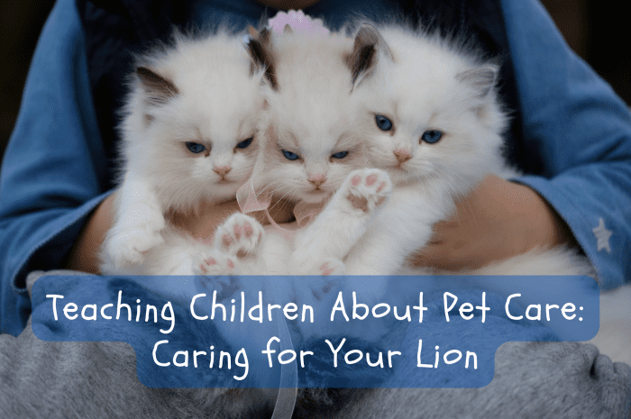 Are your children asking for pets? Help them understand the care and responsibility it takes by reading them "Caring for Your Lion."