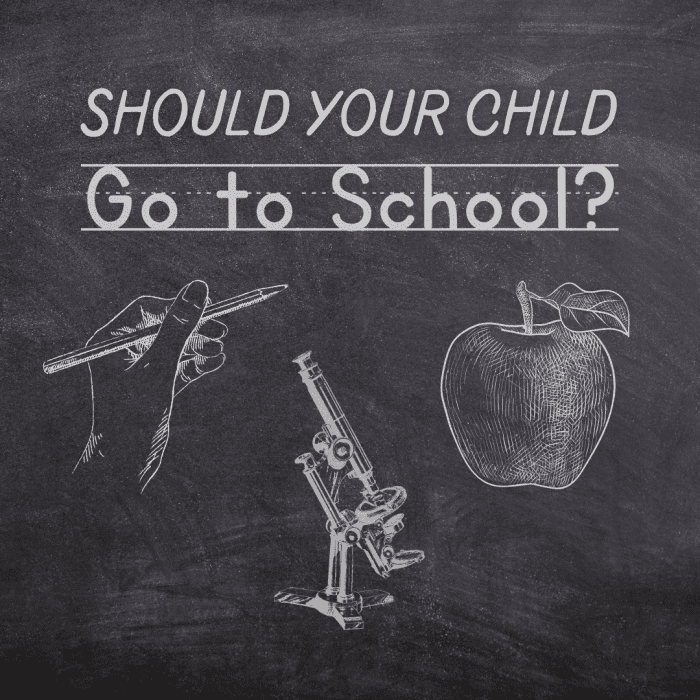 9-reasons-your-child-should-not-go-to-school-wehavekids