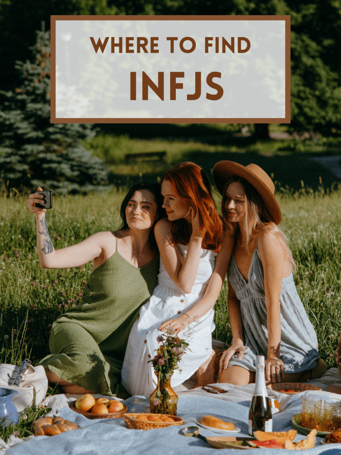 It can be tricky to find friends of the same personality. This guide hopes to help you find people with similar vibes.