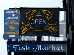 windy-towns-happy-return