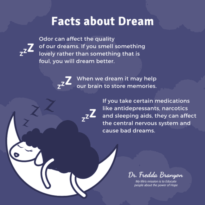 Surprising Facts About Your Dreams - HubPages