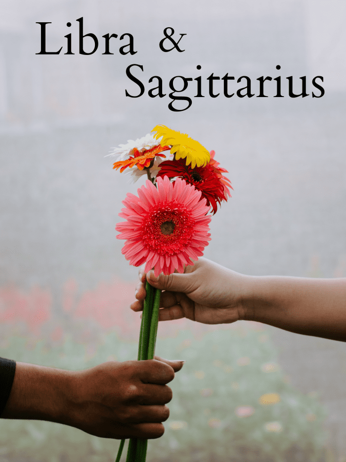 Are Libra And Sagittarius A Good Match? Everything You Need To Know ...