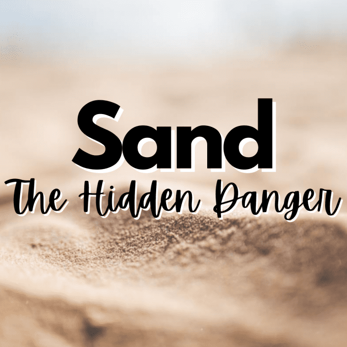Read on to learn about one of the world's most unexpectedly scarce resources: sand. Learn about the scarcity of sand, the effects of sand depletion, and more.