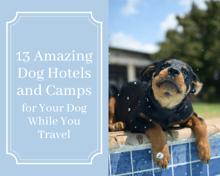Planning on traveling soon but don't want to leave your pup home alone and bored? Well, here is a list of 15 amazing hotels and camps for your dog to stay at in the meantime.