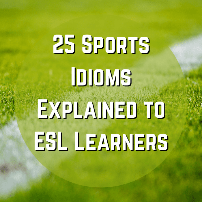 Read on to learn 25 sports-related idioms! As an ESL student, these will help you better understand English-language sports lingo.