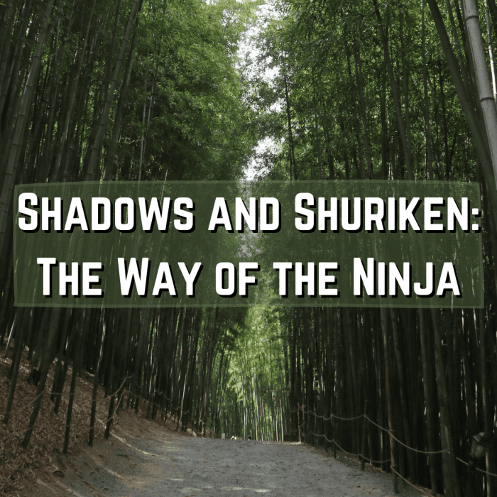 Read on to learn all about the ninja, including their history, important weapons, hierarchy, and more.