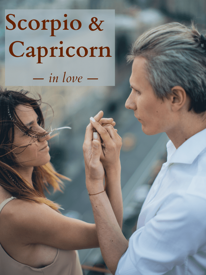 Scorpio and Capricorn are a serious pair. When they put their minds together, they focus on survival and instinct.