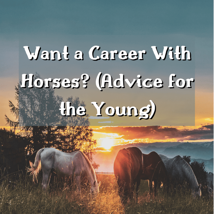 Do you want a career in the horse industry? Read on to find important advice on pursuing a career with horses.