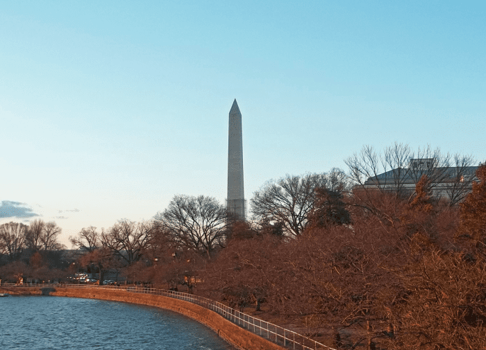 The Washington Monument behind the trees. They were doing restorations on it and if you look closely, you can see the scaffolding around the bottom. The photo below is from the Library of Congress and what we were hoping to see during our visit.
