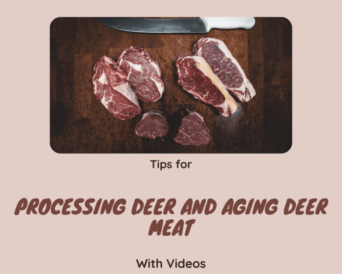 Tips for Processing Deer and Aging Deer Meat, With Videos - SkyAboveUs