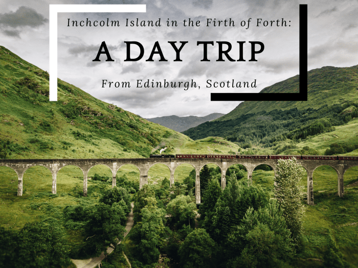 If you're looking for a place to visit while in Scotland, consider visiting Inchcolm Island in the Firth of Forth.