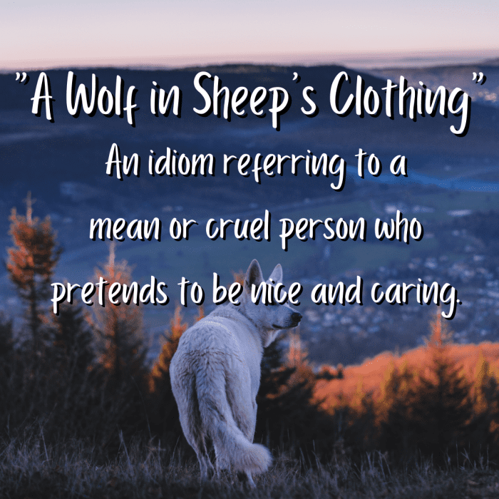 25 Clothes Idioms Explained to ESL Learners Owlcation