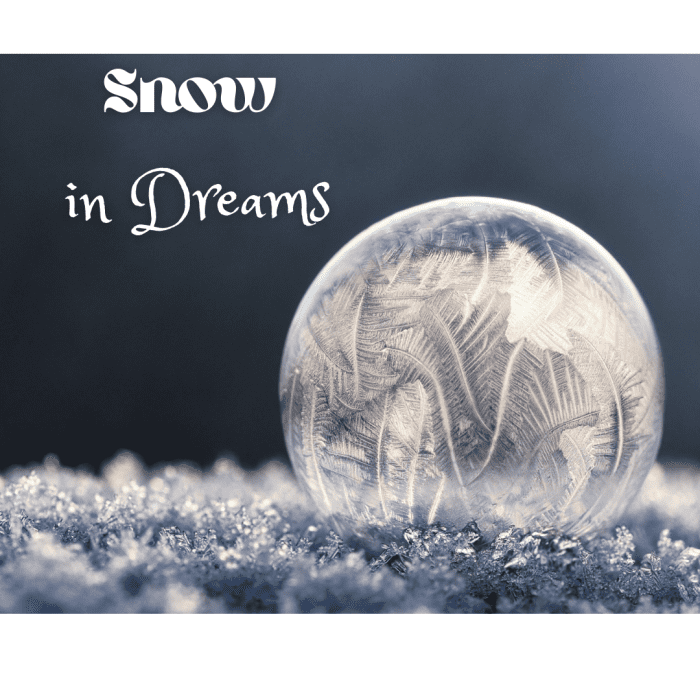 What Does Snow Mean in Dreams? HubPages