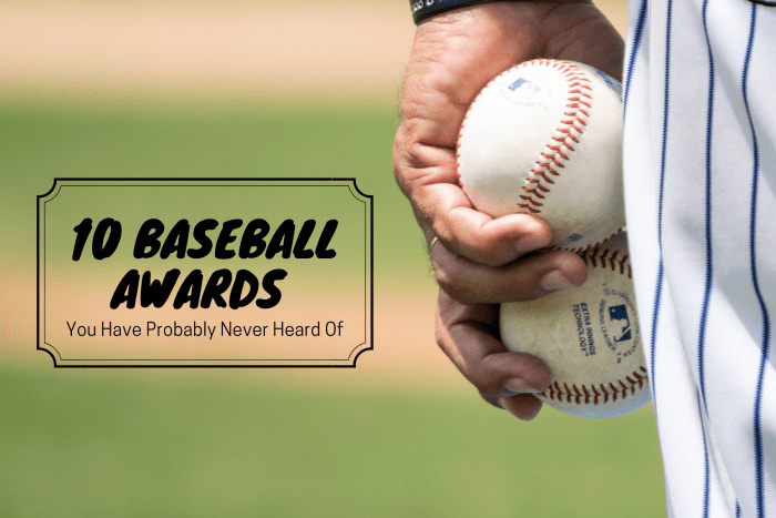 If you're interested in baseball, you probably know most of the awards distributed to players and teams. However, here are ten awards you've probably never heard of.