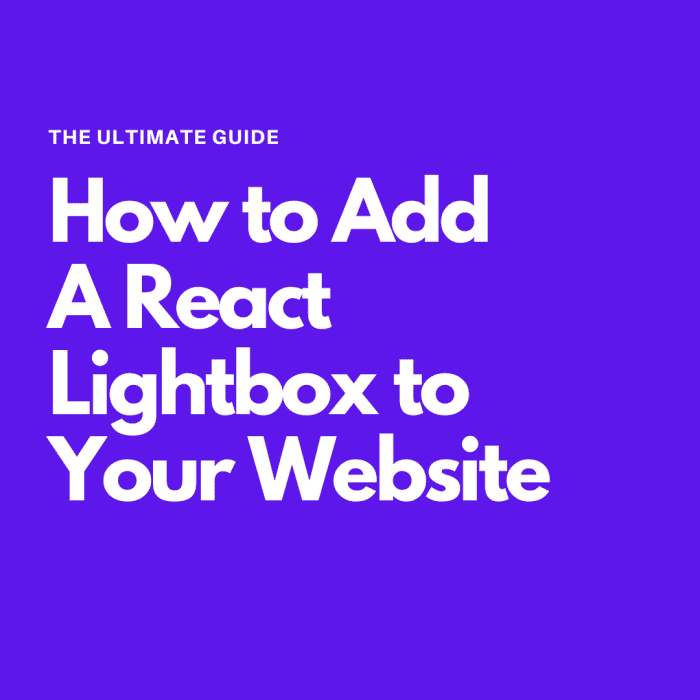 How to Add a React Lightbox to Your site Ultimate Guide TurboFuture