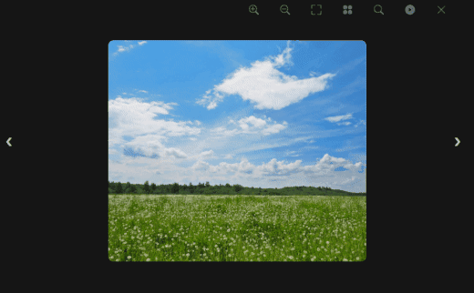 Lightbox.js is an image carousel with zooming functionality too!