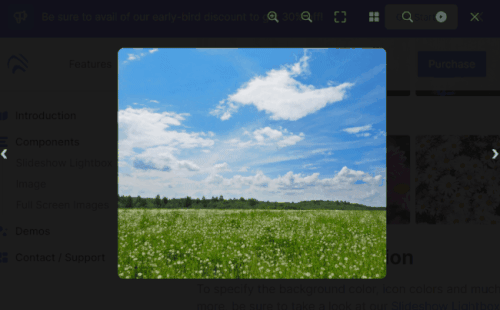 Zooming within Lightbox.js can be done through the mouse wheel or with a pinch-to-zoom motion gesture on mobile devices.