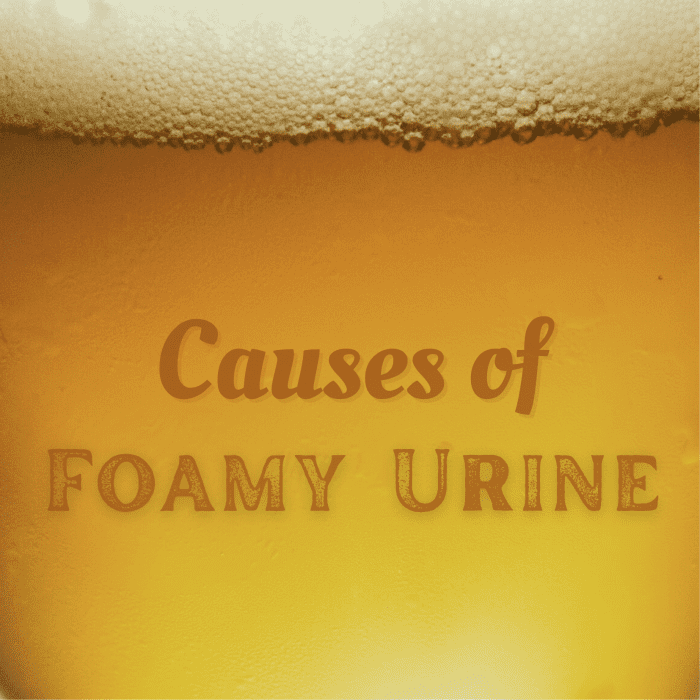 Foamy Urine Causes How Much Foam In Urine Is Normal Youmemindbody 1717