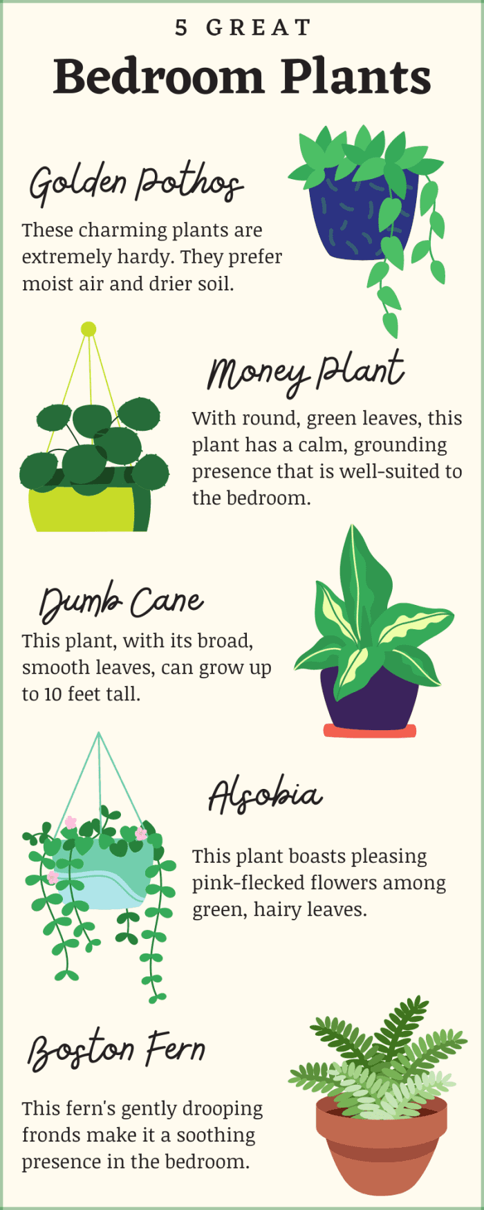 Air-Purifying Bedroom Plants That Can Survive Low Light - Dengarden