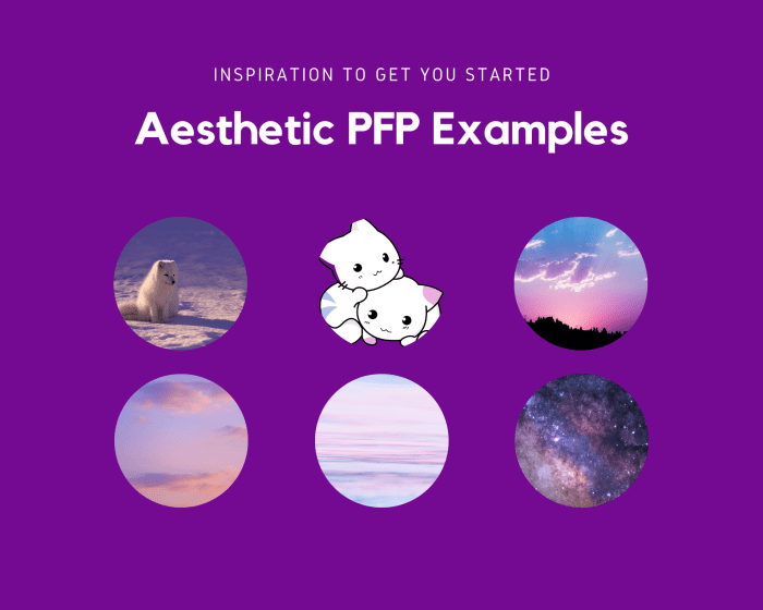 Some aesthetic examples to help inspire you! All images are from free image sites, including Unsplash and OpenClipart.