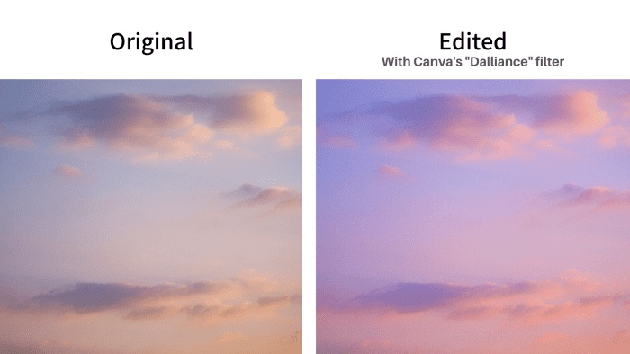 An example showcasing the power of filters! The left-hand photo shows the original and the edited photo is on the right-hand side.