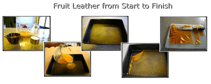 Making homemade fruit leather is very simple, and results in a delicious snack! Click to enlarge.