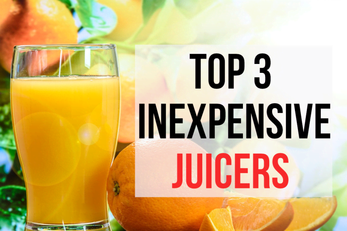 If you are looking for a good juicer for an affordable price, read on for my top 3 recommendations..