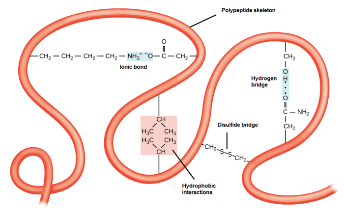 biology-3-chemical-bases-of-the-life-2