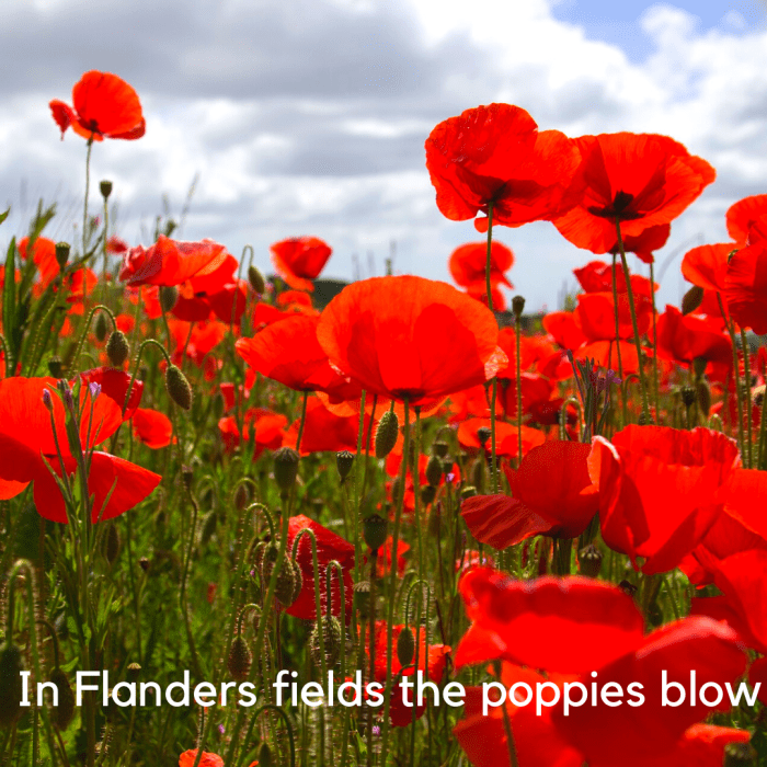 A Simple Guide to the Poetic Technique of Alliteration Owlcation