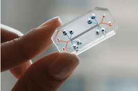 This little device is known as lung on a chip. It is lined with human lungs cells and can be used to lung’s diseases and screen potential drugs process instead of using animals