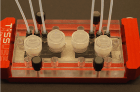 This device is known as human on a chip. As in this device cell from four different organs have been linked together on a chip to mimic the human body.