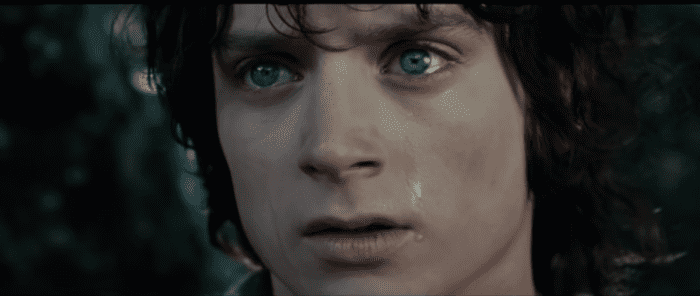 I am Frodo Baggins: How the Moria Scene Speaks to The 2020 Pandemic ...