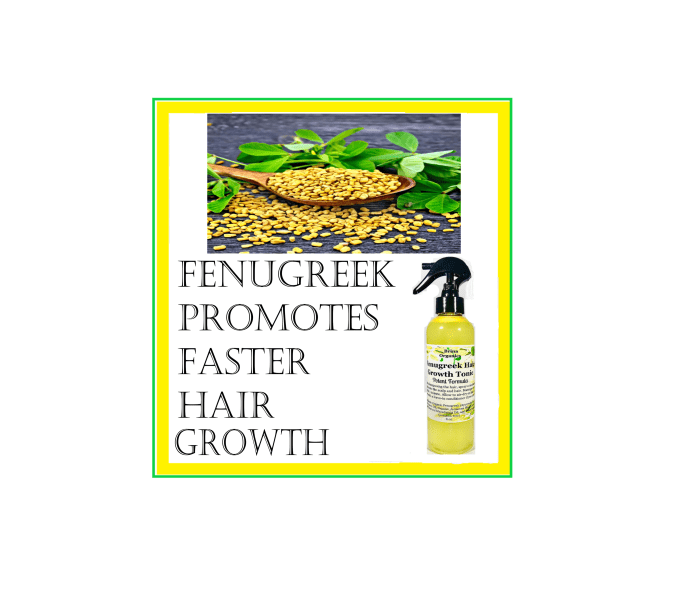 This Fenugreek Hair Tonic absorbs into the hair giving it nourishment, stimulating new growth, and thicker hair