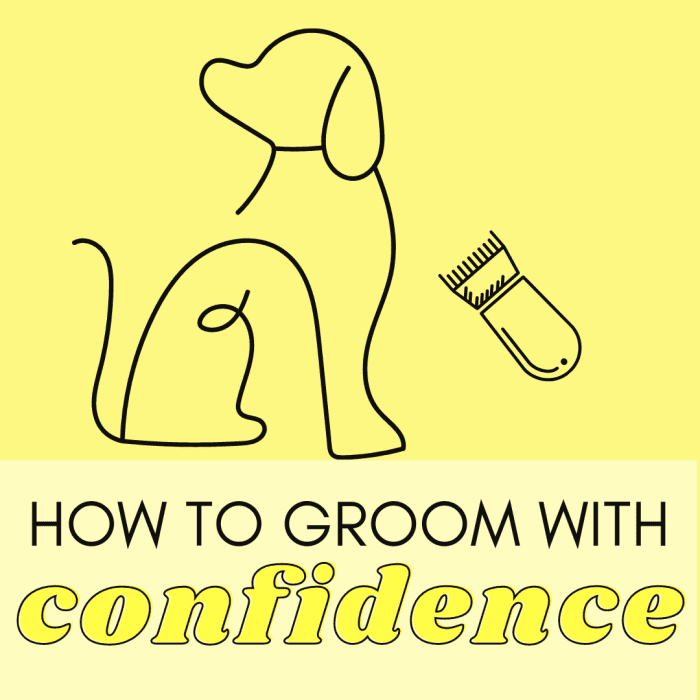 Grooming can be anxiety-inducing at first, but after a while (and some help from tips), you'll be grooming your pup like a pro.